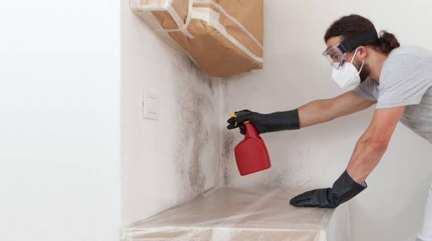 Professional Basement Mold Remediation technician working in Westbury, NY
